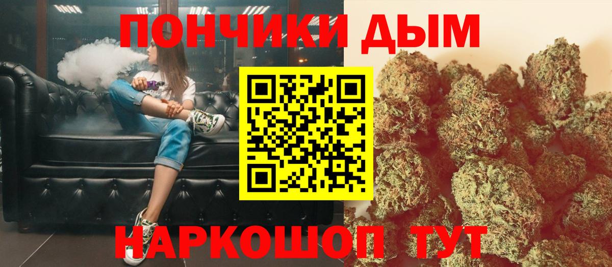 Бошки Шишки индика Тимашёвск
